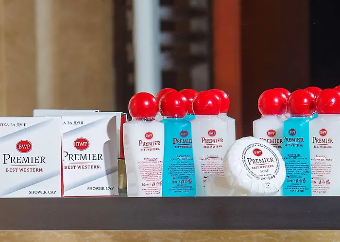 ホテル Western Premier Hills プロヴディフ